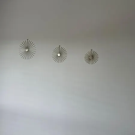 Alisaarigent * Hofheim am Taunus