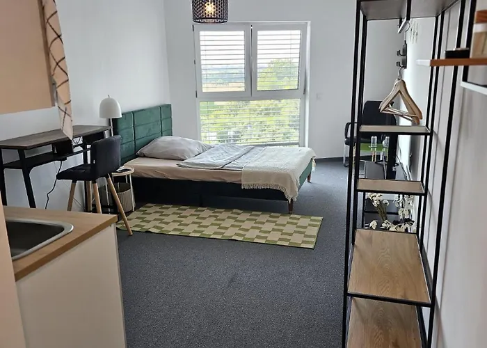 民宿 Alisaarigent *