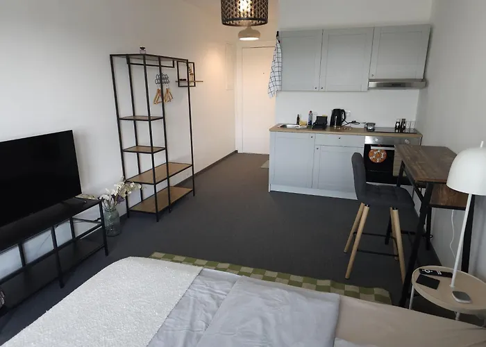 Alisaarigent * 陶努斯山边的霍赫海姆