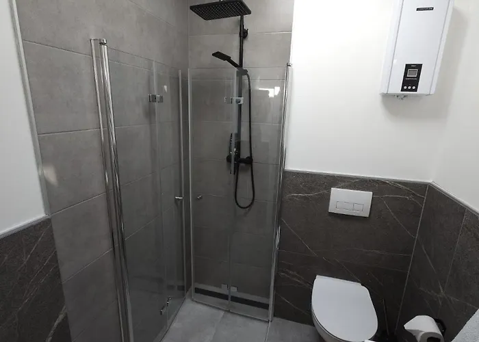 Alisaarigent * 陶努斯山边的霍赫海姆